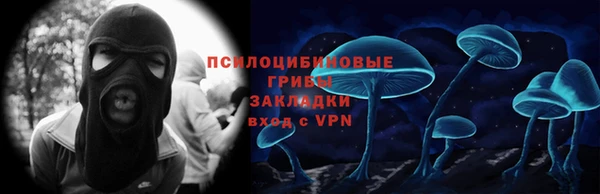 твердый Пересвет