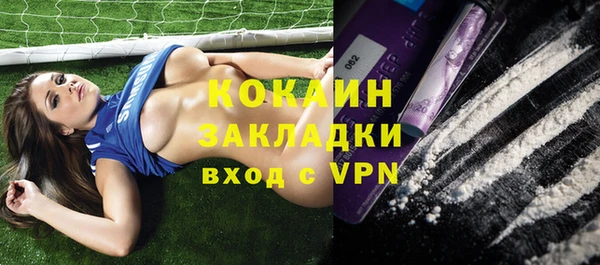 твердый Пересвет