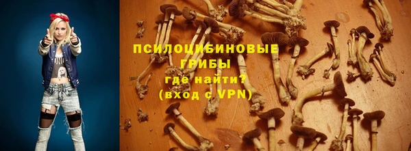 трава Пестово