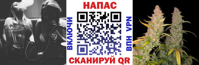 Бошки Шишки план  Купить  Ахтырский 